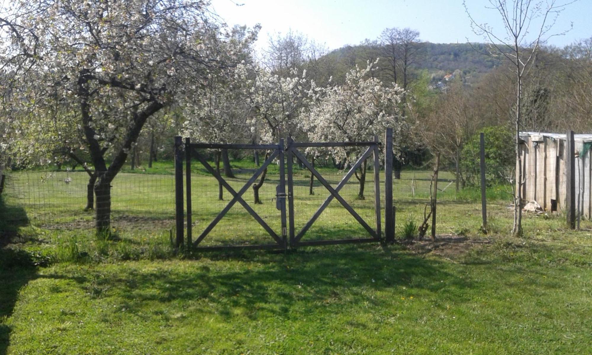 Bochmann Cottage Zalaszanto Zewnętrze zdjęcie