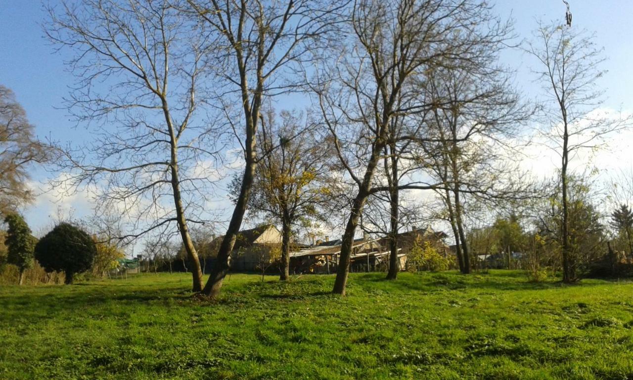 Bochmann Cottage Zalaszanto Zewnętrze zdjęcie